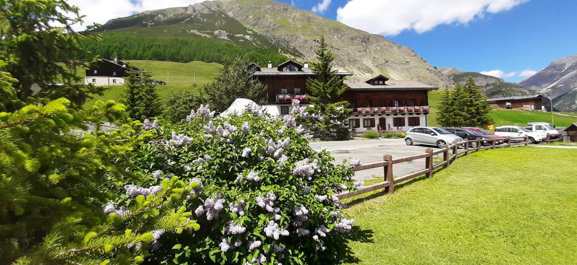 Chalet Del Sole per gruppi Livigno Exterior foto